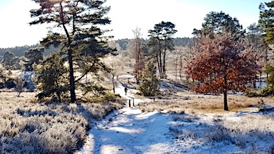 Nordheide Winter Ch.Wolfes 2022